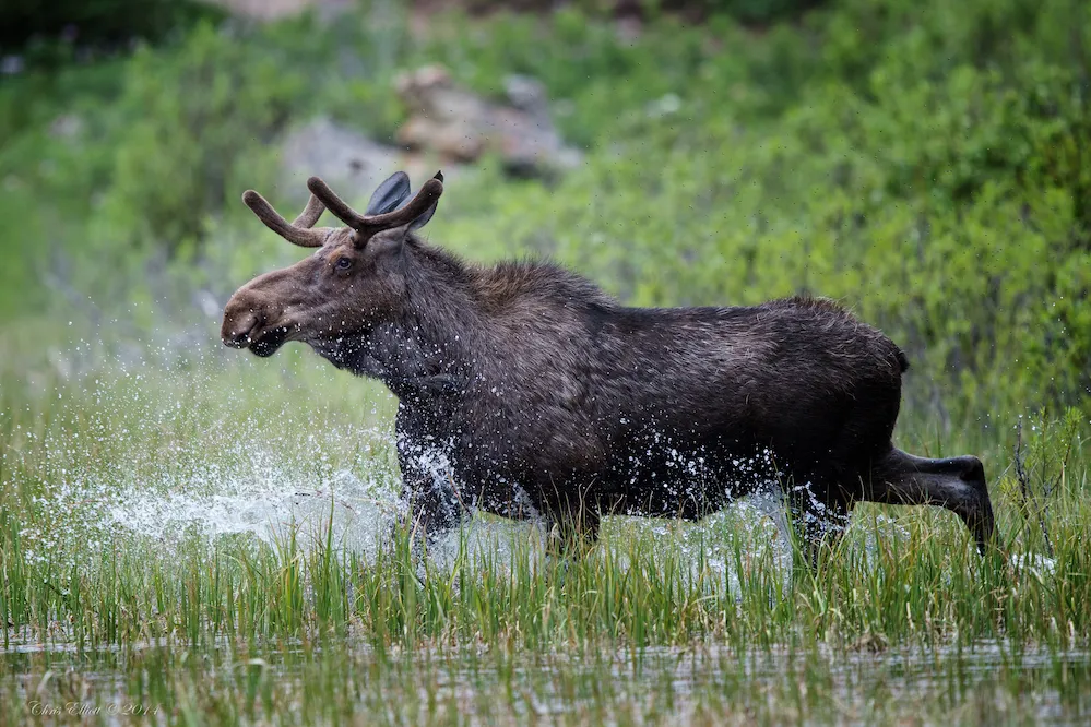 Wyoming Ranch Vacation