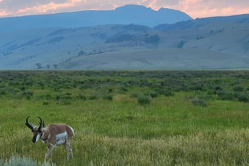 Jackson Hole Dude Ranch