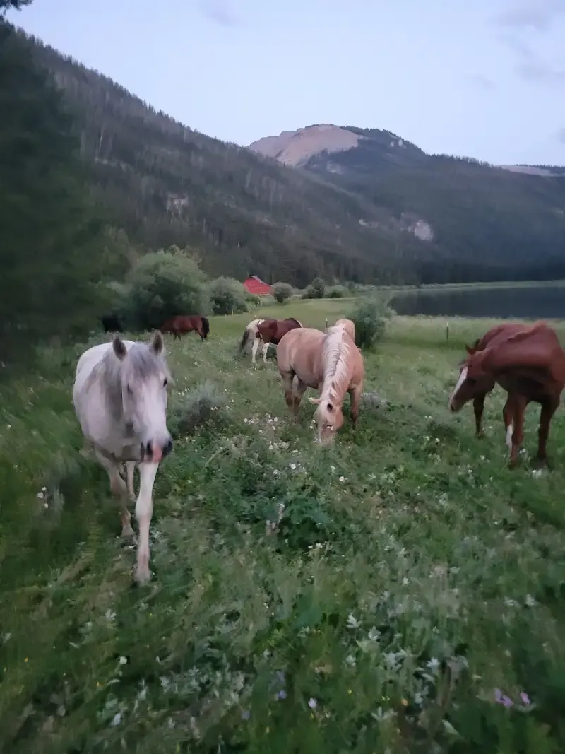 Luxury Dude Ranch Wyoming