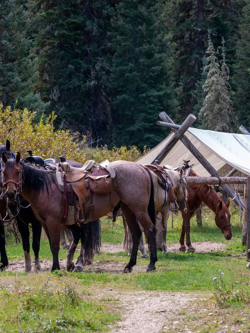 Dude Ranch Wyoming