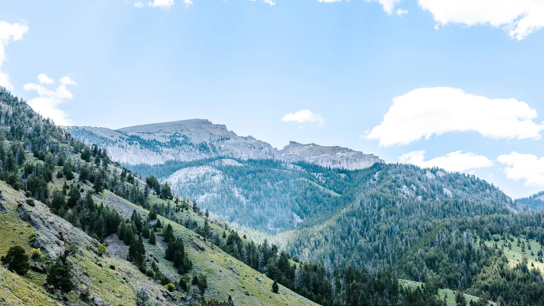 Dude Ranch near Jackson Hole